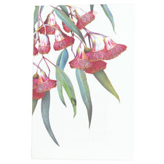 Bell Art Notepad - Eucalypt blossom