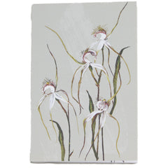 Bell Art Notepad - Spider Orchid