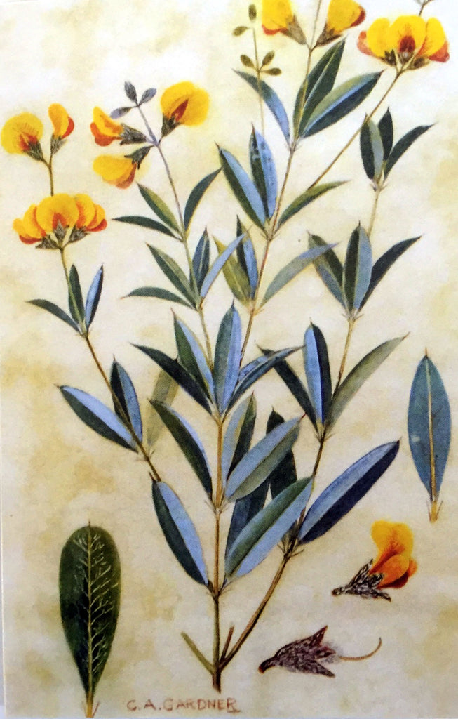 Charles Gardner Cards New Norcia Museum Gift Shop